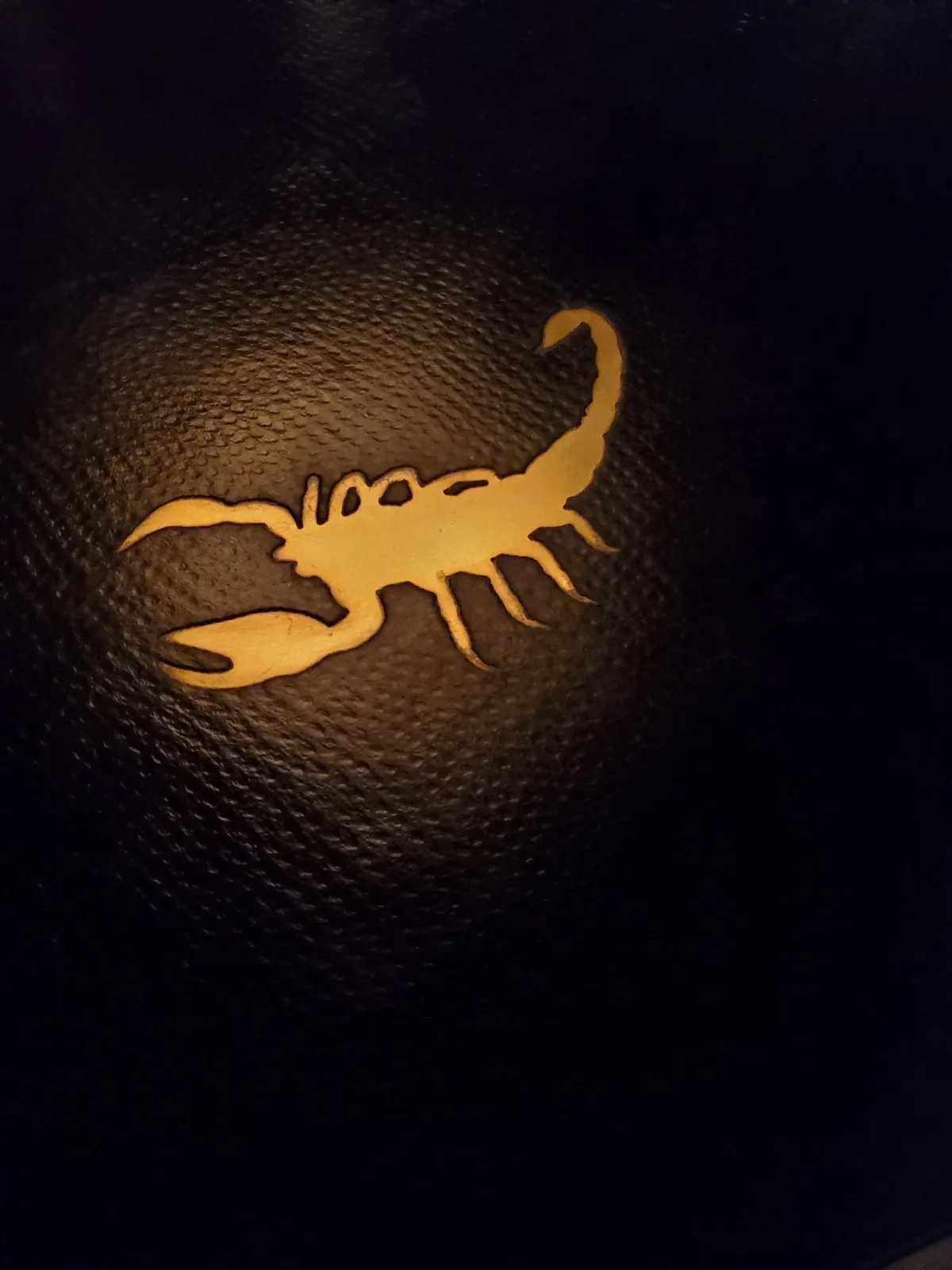Golden scorpion illustration glowing against dark textured background