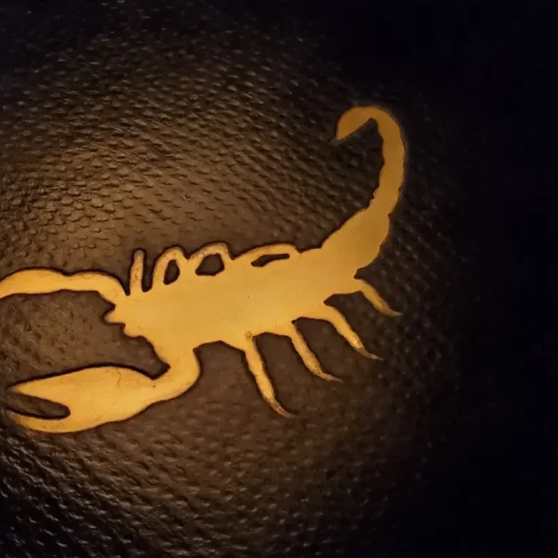 Golden scorpion silhouette glowing on dark textured background